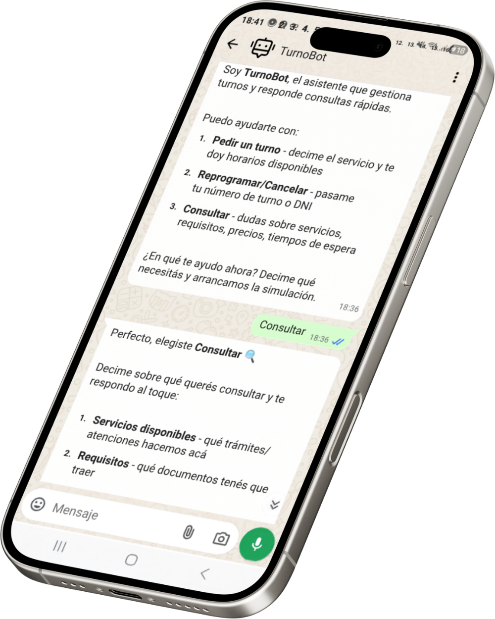 Automatizaciones WhatsApp — mockup celular